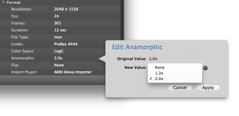 figure-2-anamorphic-settings